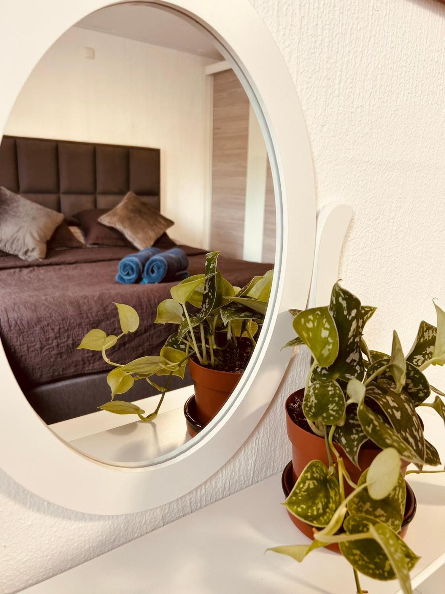 Bed & Breakfast Prachtig Allemachtig Valkenburg aan de Geul
